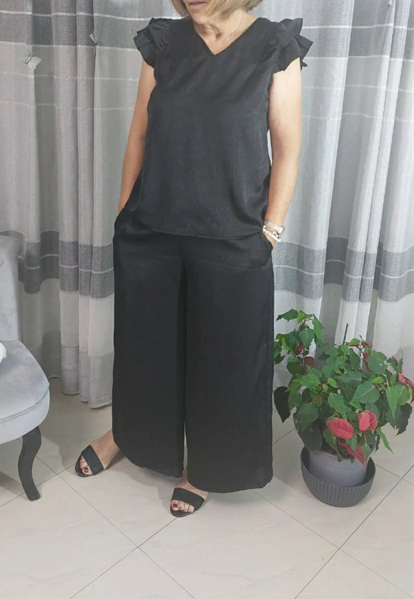 Ensemble ANA