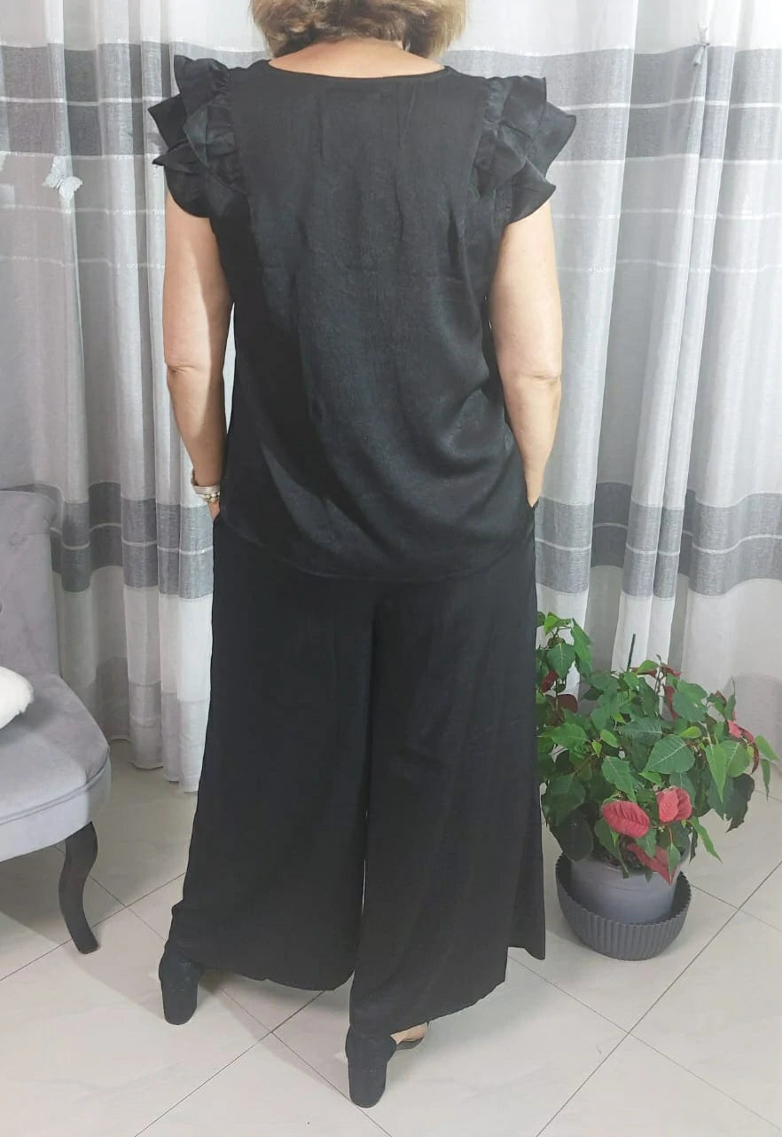 Ensemble ANA